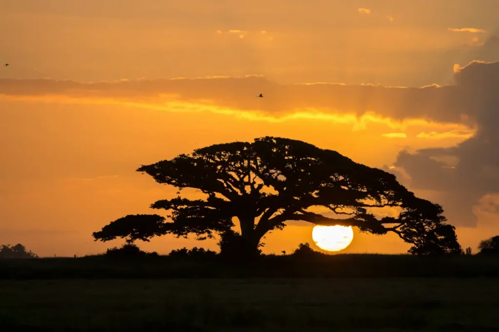 Our Sun's stability, longevity, and metal-rich composition make it ideal for sustaining life. Formed in a metal-abundant, eventful region of the Milky Way, it moved to a safer location, providing Earth with a steady energy source. These metal-rich regions are hazardous due to frequent supernovae and intense radiation. Our Sun's balanced attributes create the perfect conditions for life on Earth.