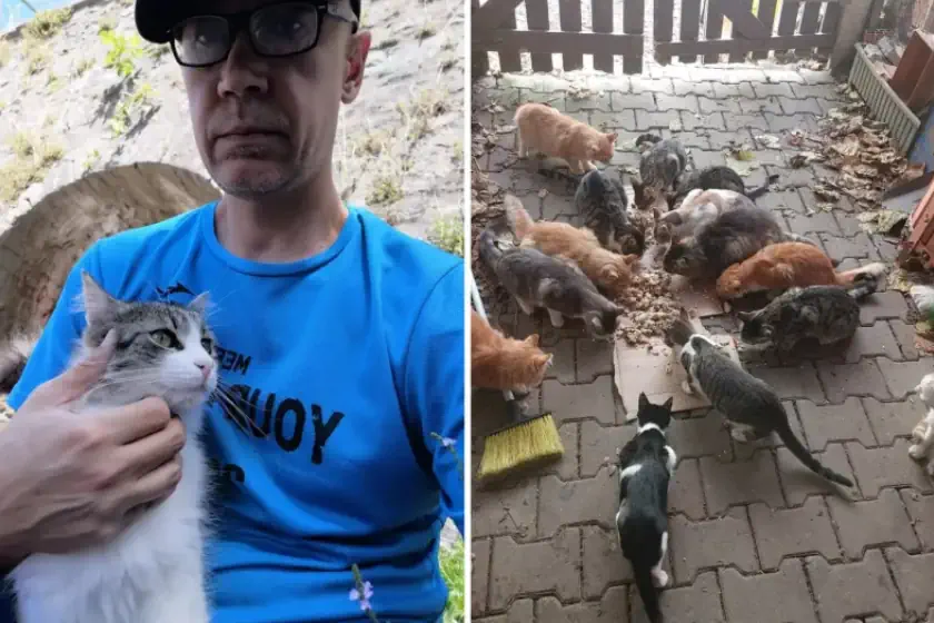 Özgür Nevres's stray cat and dog rescue efforts were featured in Newsweek